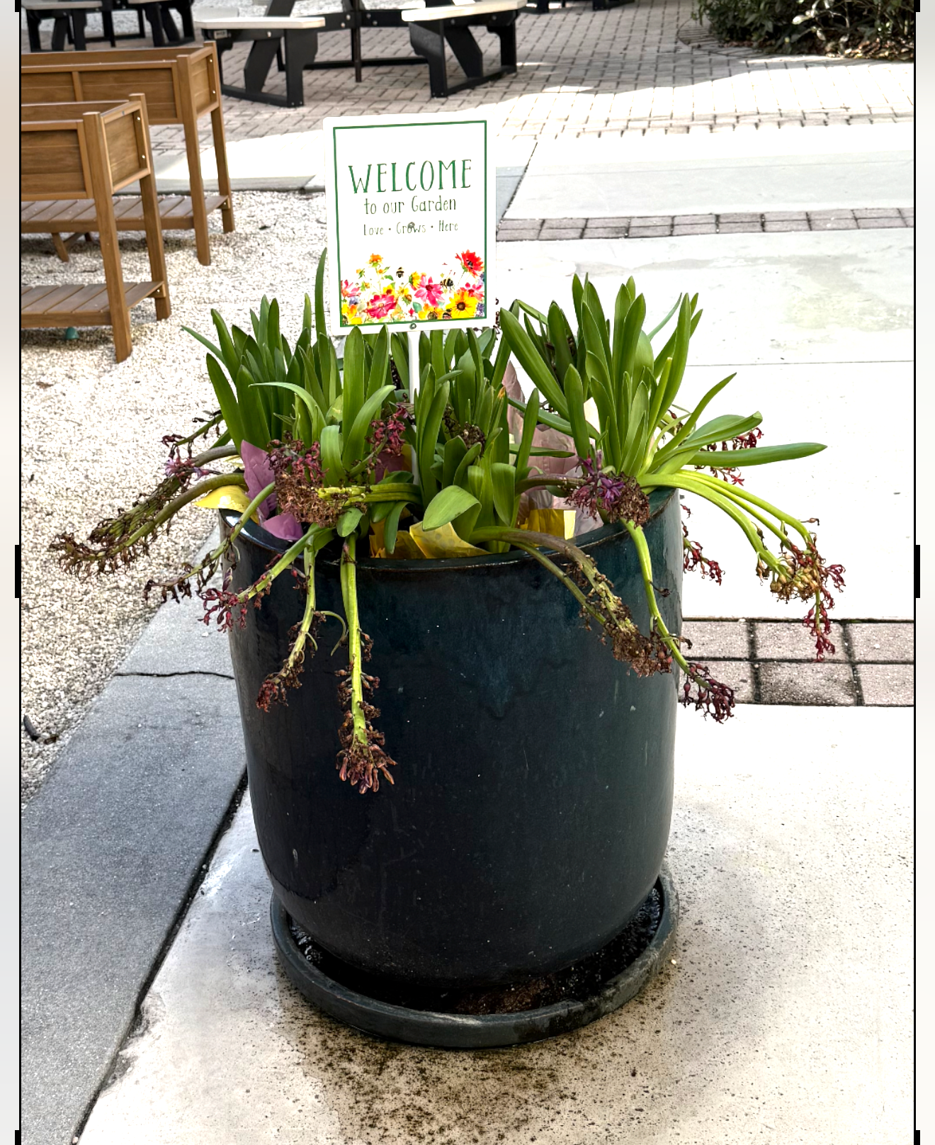 Garden welcome