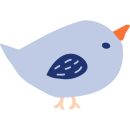 bird
